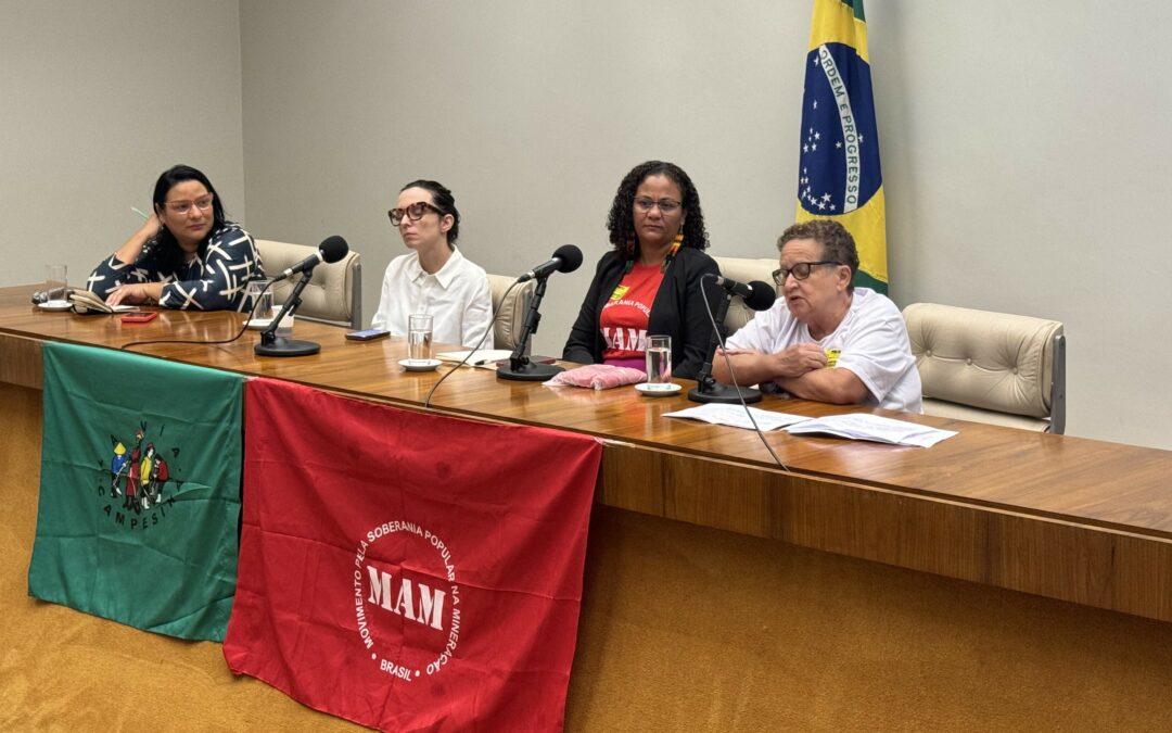 MAM e Fiocruz discutem em seminário o tema mineração, saúde e ecossistema com parlamentares na Câmara Federal