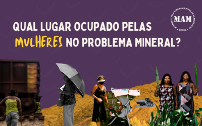 Qual o lugar ocupado pelas mulheres no problema mineral?